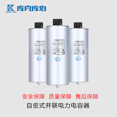 什么是自愈式低壓并聯(lián)電力電容器？