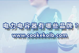 電力電容器有哪些品牌？