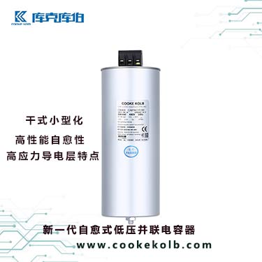 新一代自愈式低壓并聯(lián)電容器的產(chǎn)品技術(shù)特點(diǎn)是什么？