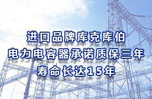 進(jìn)口品牌庫克庫伯電力電容器承諾質(zhì)保三年壽命長達(dá)15年