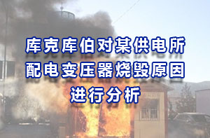 庫克庫伯對某供電所配電變壓器燒毀原因進行分析