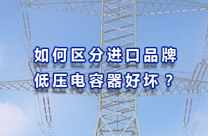 從技術(shù)、安全系數(shù)、符合中國電網(wǎng)三方面區(qū)分進(jìn)口品牌低壓電容器好壞？