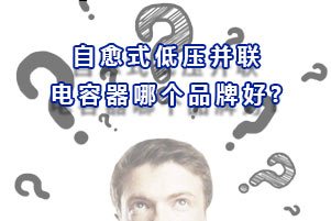 自愈式低壓并聯(lián)電容器哪個(gè)品牌好?