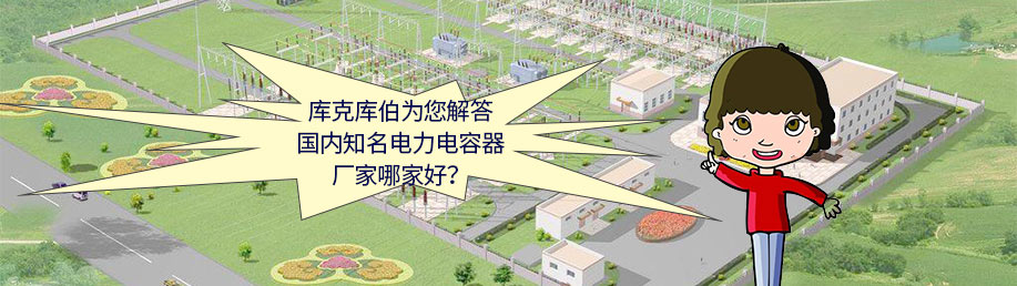 國內知名電力電容器廠家哪家好？