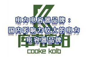 電力電容器品牌：國(guó)內(nèi)影響力較大的電力電容器品牌