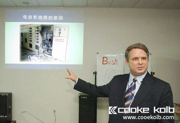 低壓補(bǔ)償電容柜經(jīng)常被燒毀的原因