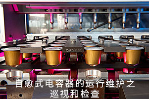 自愈式電容器的運(yùn)行維護(hù)之巡視和檢查