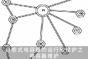 自愈式電容器的運(yùn)行和維護(hù)之電容器維護(hù)