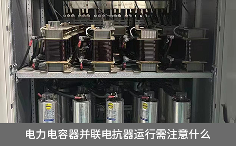 電力電容器并聯(lián)電抗器運行需注意什么