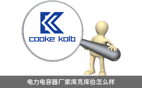 電力電容器廠家?guī)炜藥觳趺礃? title=