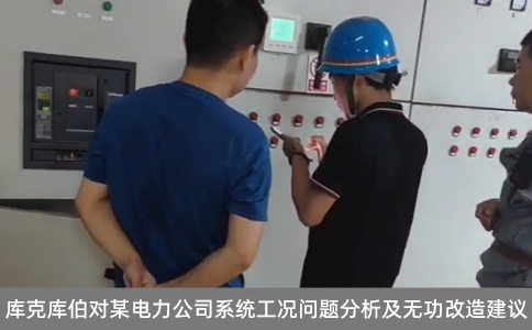 庫克庫伯對某電力公司系統(tǒng)工況問題分析及無功改造建議