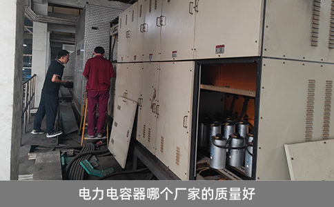 電力電容器哪個(gè)廠家的質(zhì)量好