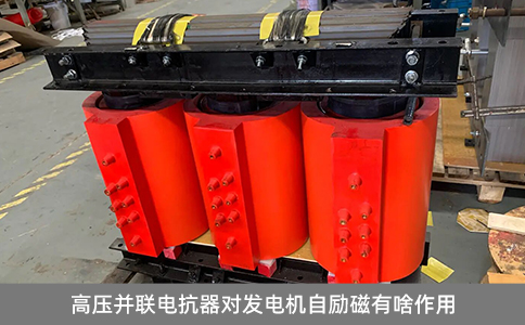 高壓并聯(lián)電抗器對發(fā)電機(jī)自勵磁有啥作用
