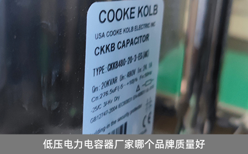 低壓電力電容器廠家哪個(gè)品牌質(zhì)量好