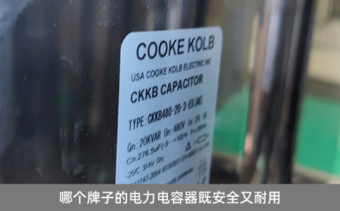 哪個(gè)牌子的電力電容器既安全又耐用