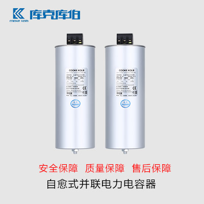 什么是自愈式低壓并聯(lián)電容器？